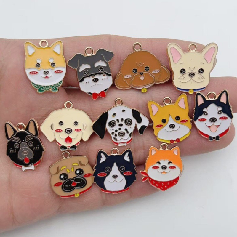 12 stuks cartoon huisdier gevl - Jewelry Making Earrings recensie en prijs